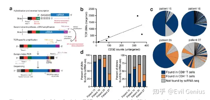 课前准备----Spatial VDJ_localization of t cell clonotypes using spatial tr ...