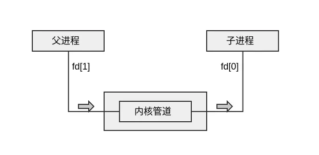 管道模型