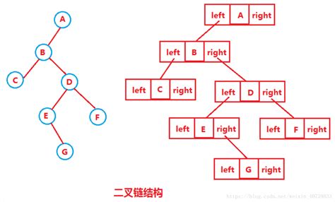 二叉树基本概念与遍历_Xucc_x的博客-优快云博客