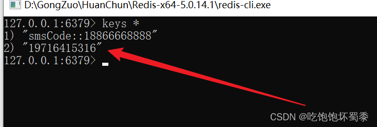 redis存储的验证码