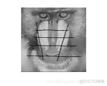 【图像去噪】基于全变分算法(TV)图像去噪matlab源码_TVloss_04