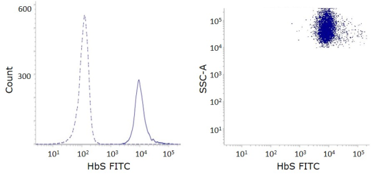 IQ Products新品推荐—Hemoglobin antibodies for flow cytometry