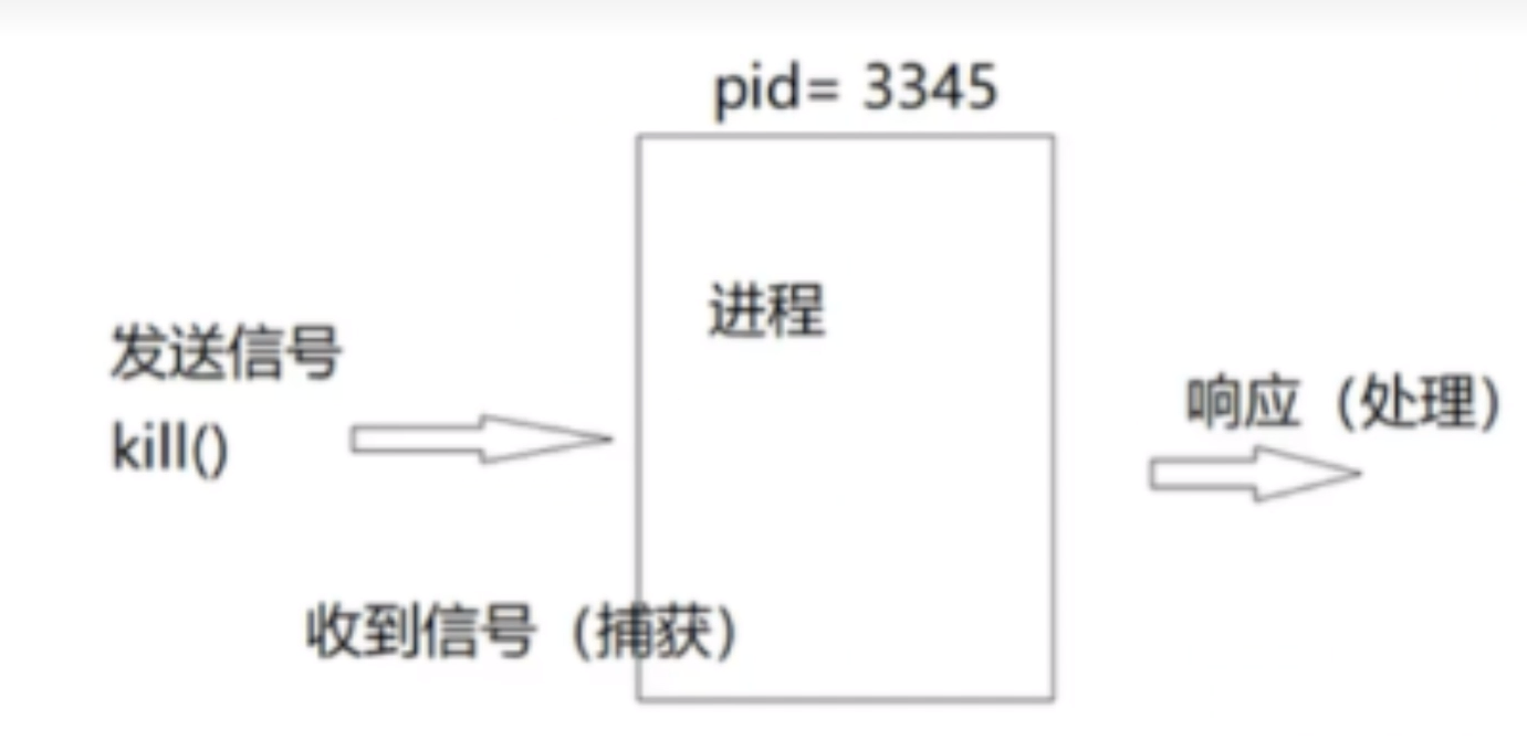 image-20240514195048237