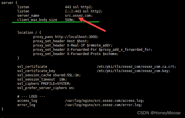 反向代理413 Request Entity Too Large 问题_cloudreve 反代413