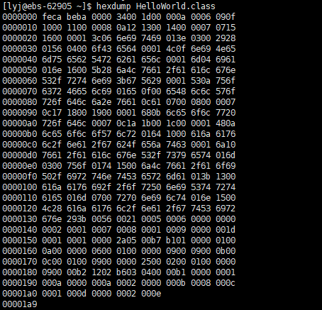 image-20210228212656306