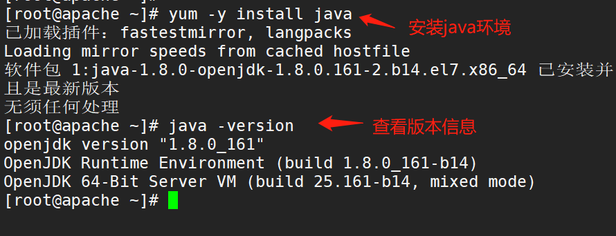 image-20220829204318512