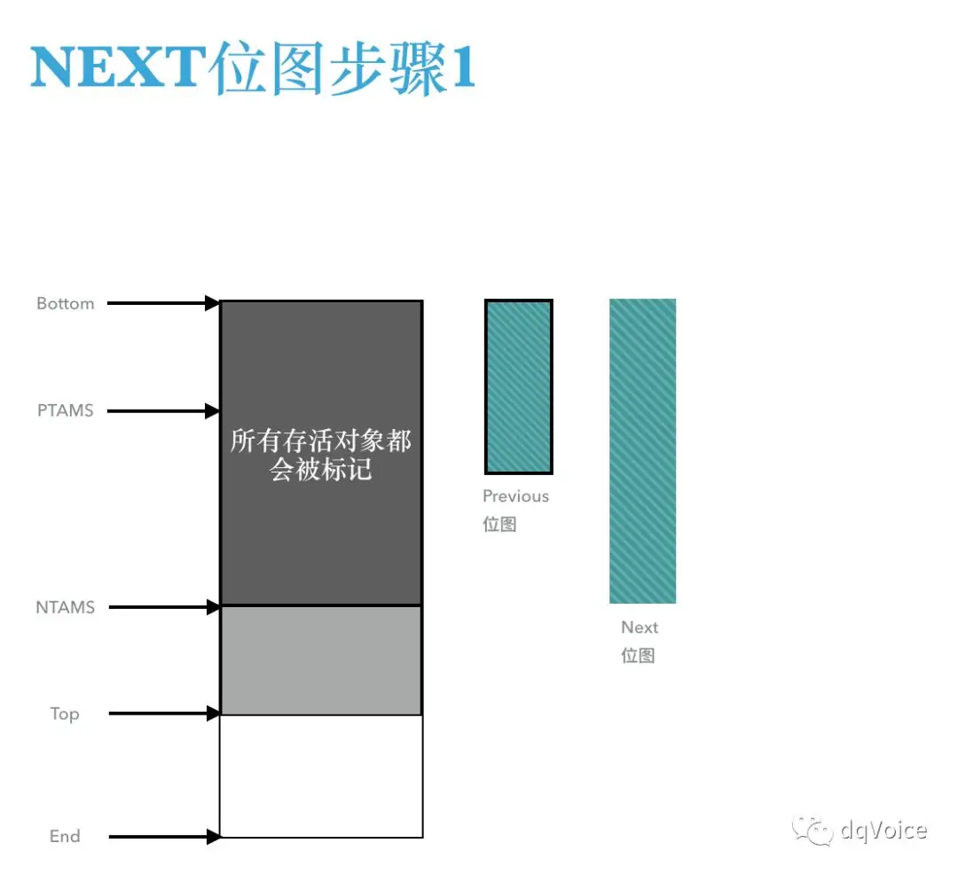 next-01