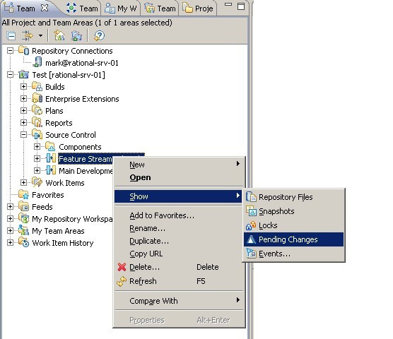 Selections under Source Control and then on menus