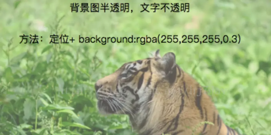 4424012-cb71569469208034.png