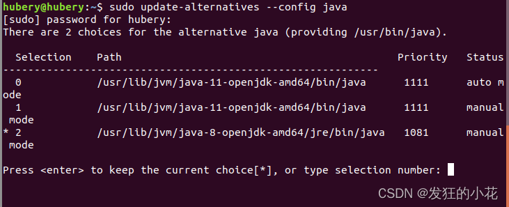 JDK8和JDK11在Ubuntu18上切换(解决nvvp启动报错)_ubutu java8版本升级11-CSDN博客