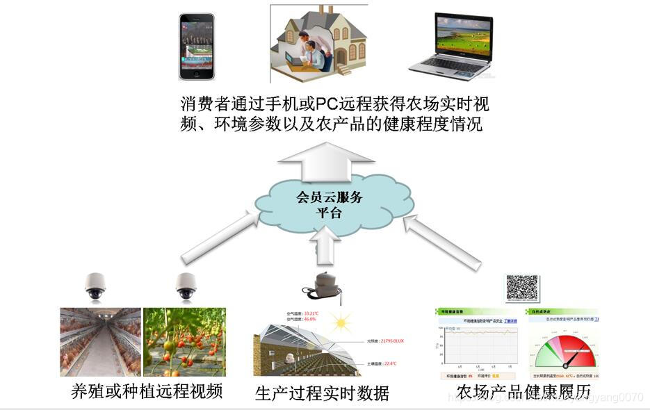 智能温室种植作物可实现全季节全天候生长