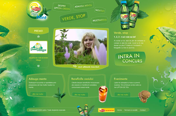 Lipton Green Mint