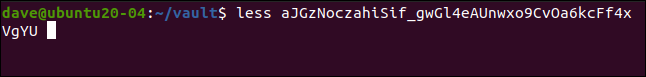 less aJGzNoczahiSif_gwGl4eAUnwxo9CvOa6kcFf4xVgYU in a terminal window.