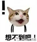 3ad18e25618b8d8279528245d380d4ed.jpeg