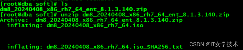 达梦 8 数据库的安装 —— 适配生产环境 Linux 平台插图27 达梦 8 数据库的安装 —— 适配生产环境 Linux 平台
