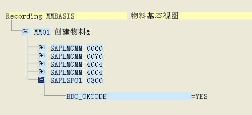 LSMW批处理使用方法(5)_步骤3下