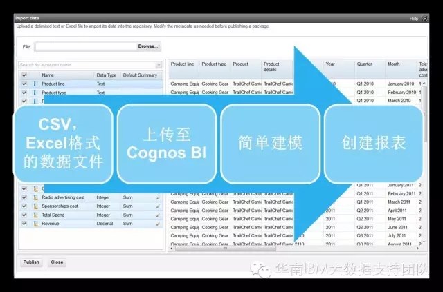 cognos