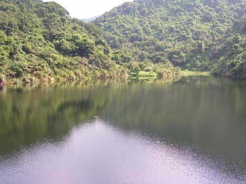 梧桐山