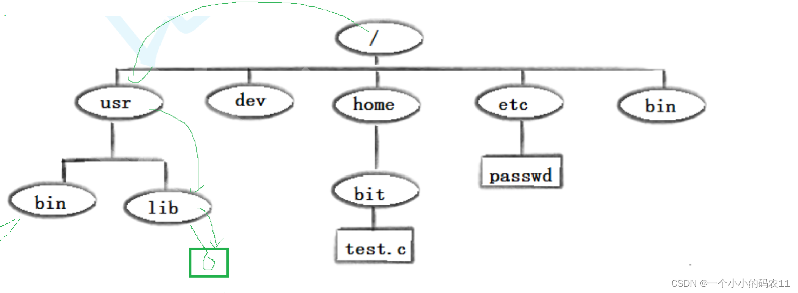 【Linux01】基本操作指令_01命令字-CSDN博客
