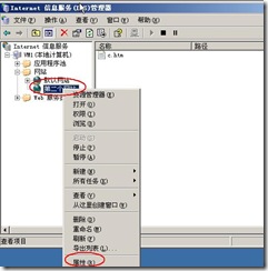 clip_image100
