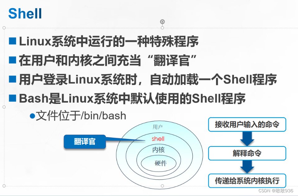 Linux基础入门：命令、目录与文件类型详解-CSDN博客