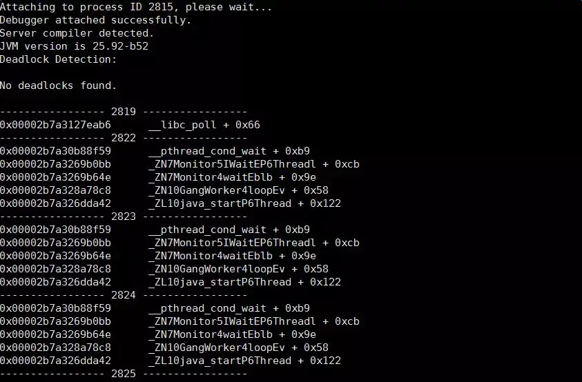 webp
