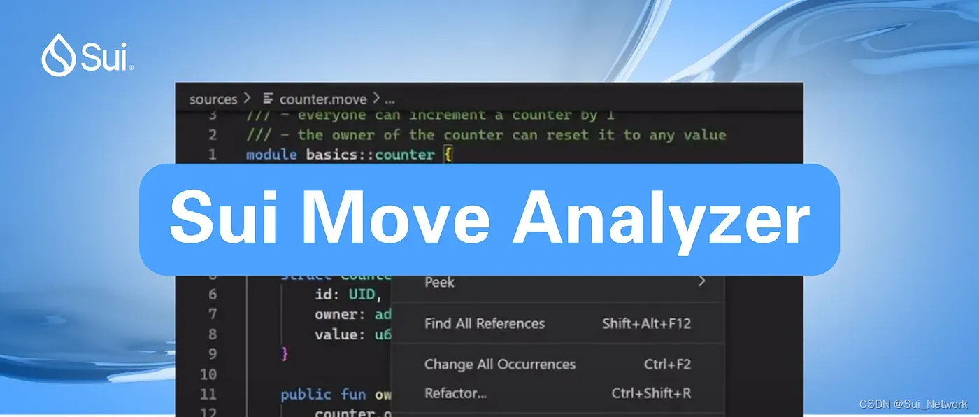 Sui Move Analyzer教程_could not activate move-analyzer: language server  -CSDN博客