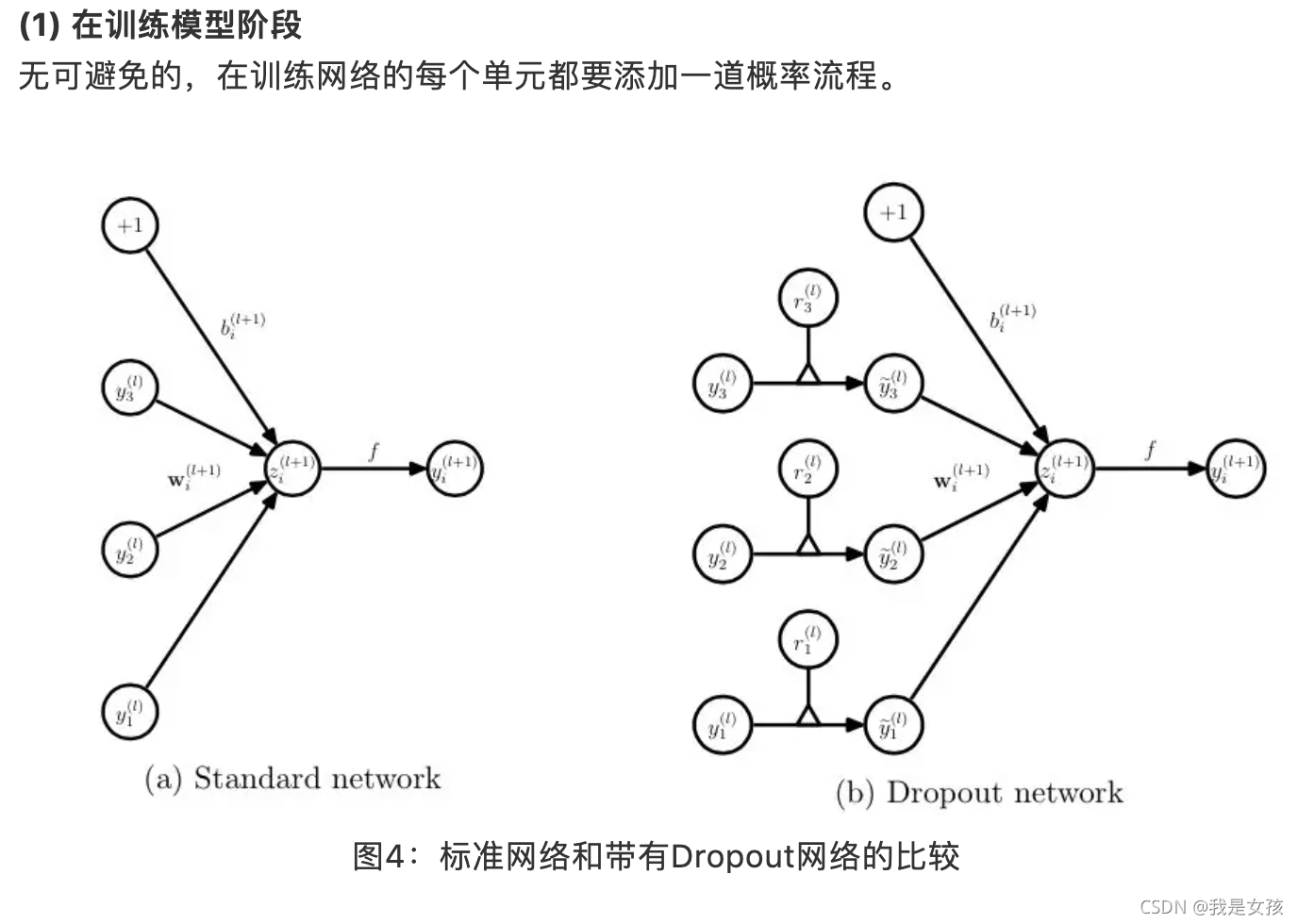 深度学习:Dropout的正则化原理与rescale技巧详解-CSDN博客