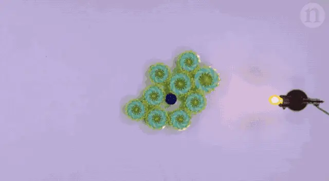 4624570-0dba8d0bb3738d7b.gif