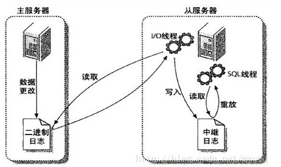 mysql主从复制（一主一从）