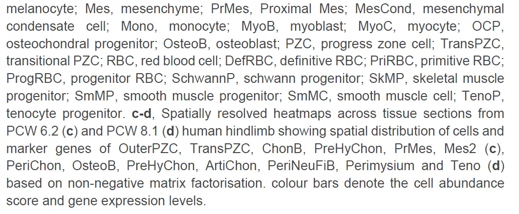 10X单细胞空间联合分析解析的人类胚胎limb cell图谱_a human embryonic limb cell atlas ...
