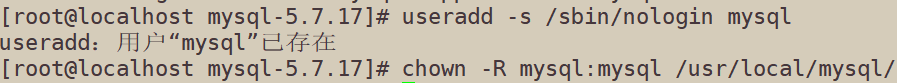 image-20220719000139446