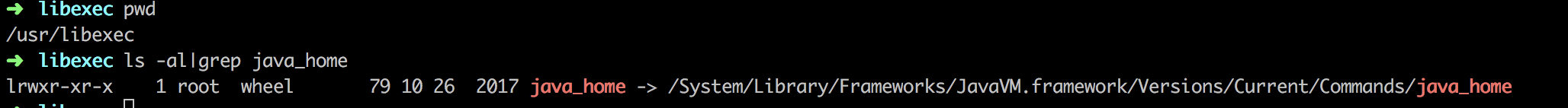JAVA_HOME