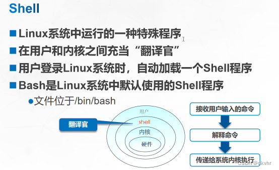 Linux操作系统基础:Shell命令与文件管理-CSDN博客