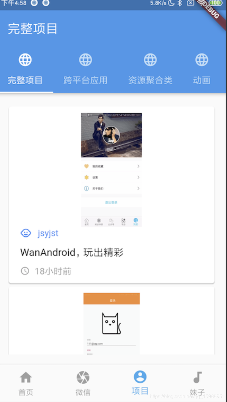 项目