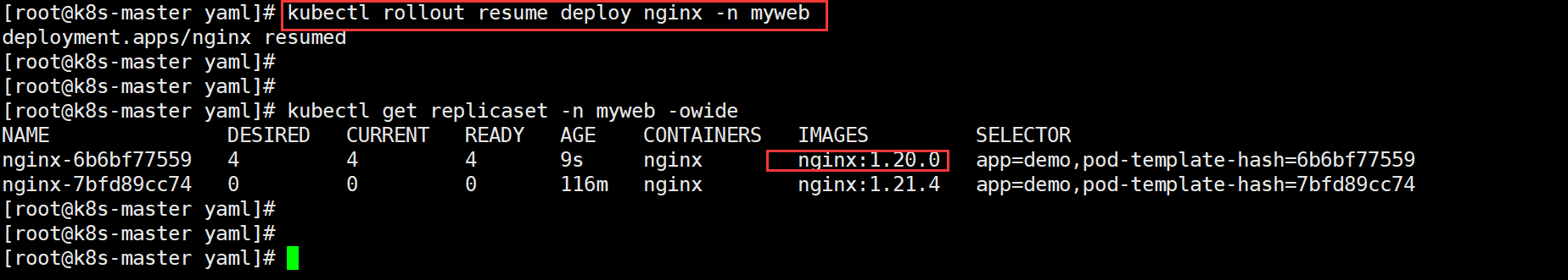 image-20231025171200713