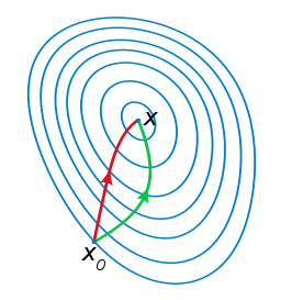 newton