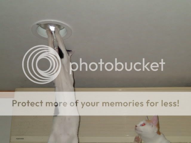 点击在新窗口中查看该图片