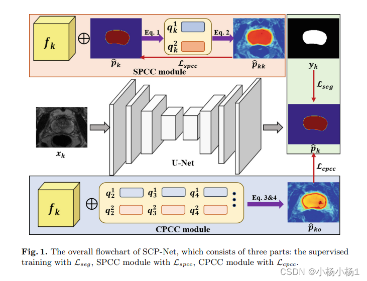 Self-aware and Cross-Sample Prototypical Learning for Semi-supervised ...