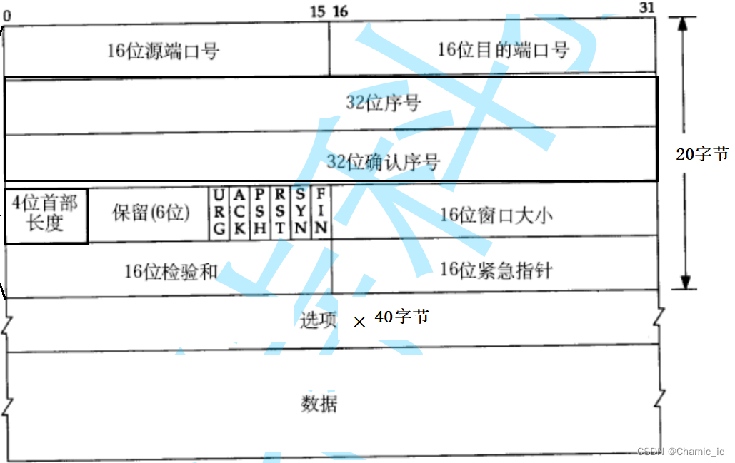 udp协议/tcp协议