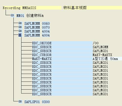 LSMW批处理使用方法(5)_步骤3下