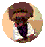 d3ccd13833acf1f26eaa0d17a501e4b6.gif