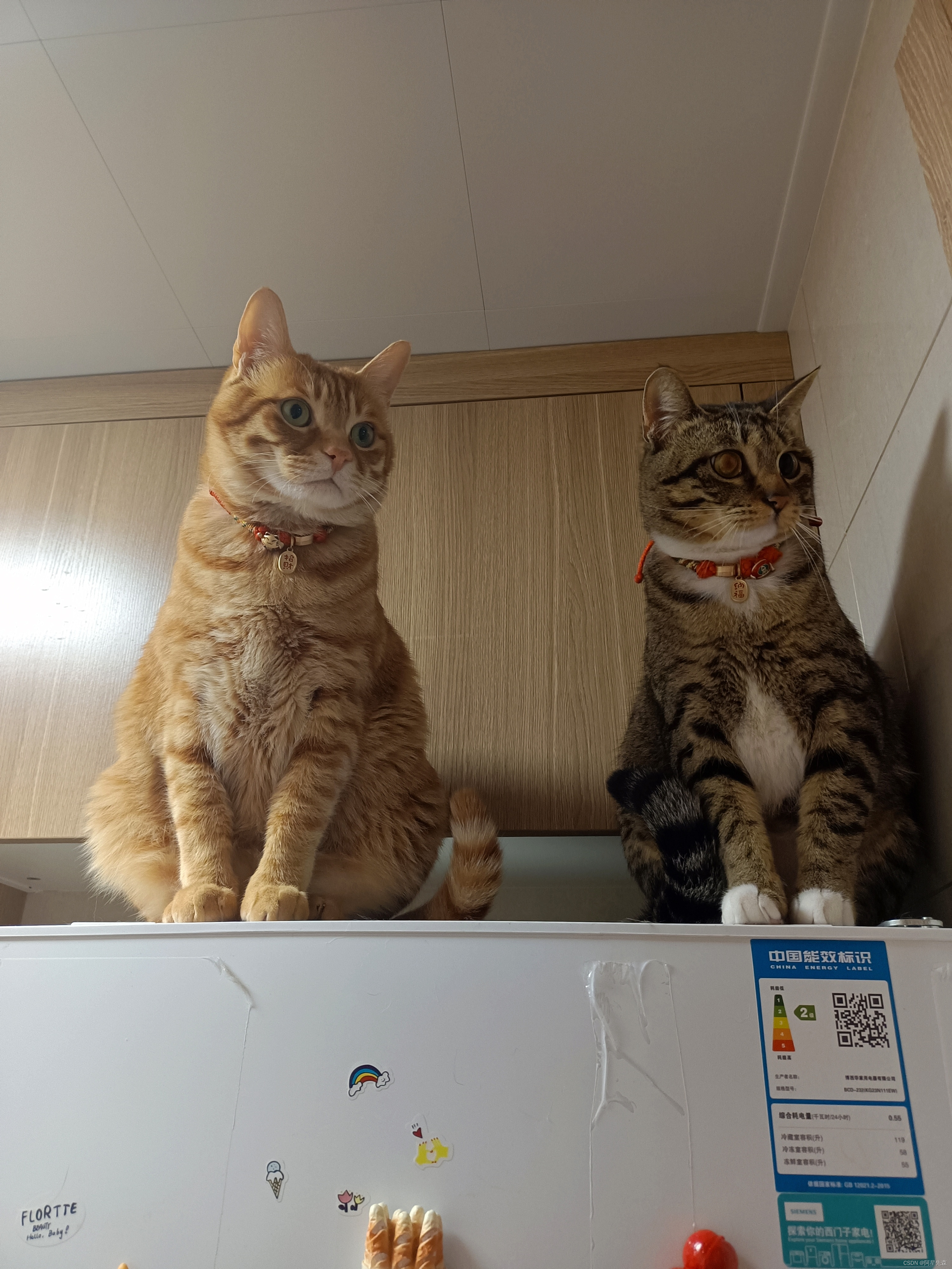 https://blog.youkuaiyun.com/axingxiansen?spm=1011.2266.3001.5343