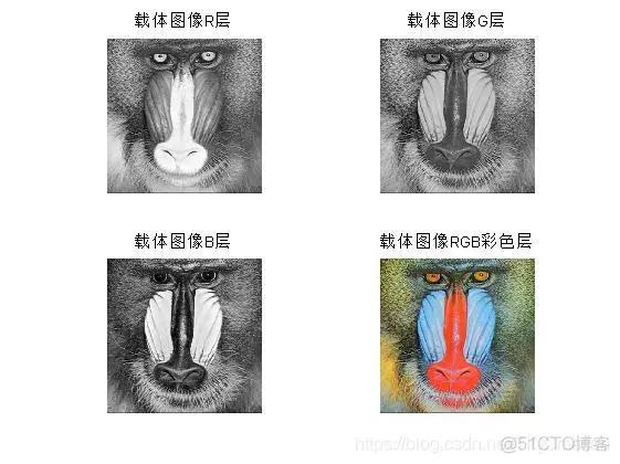 【图像加密】基于行列像素置乱+DWT小波变换图像隐藏加密matlab源码_matlab源码_06