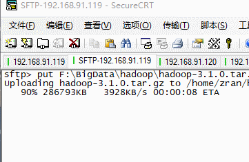 1gif.gif
