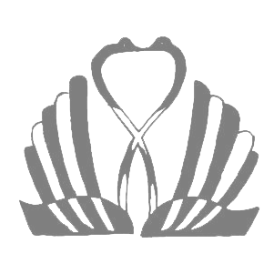 fa06ea995e1281c622338933ebe35e18.png