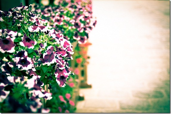 02_thumb[1]