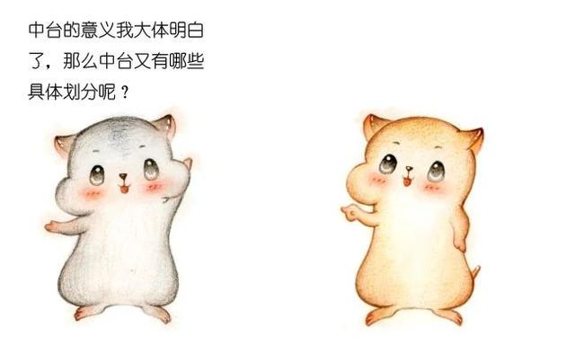 漫画：什么是中台？