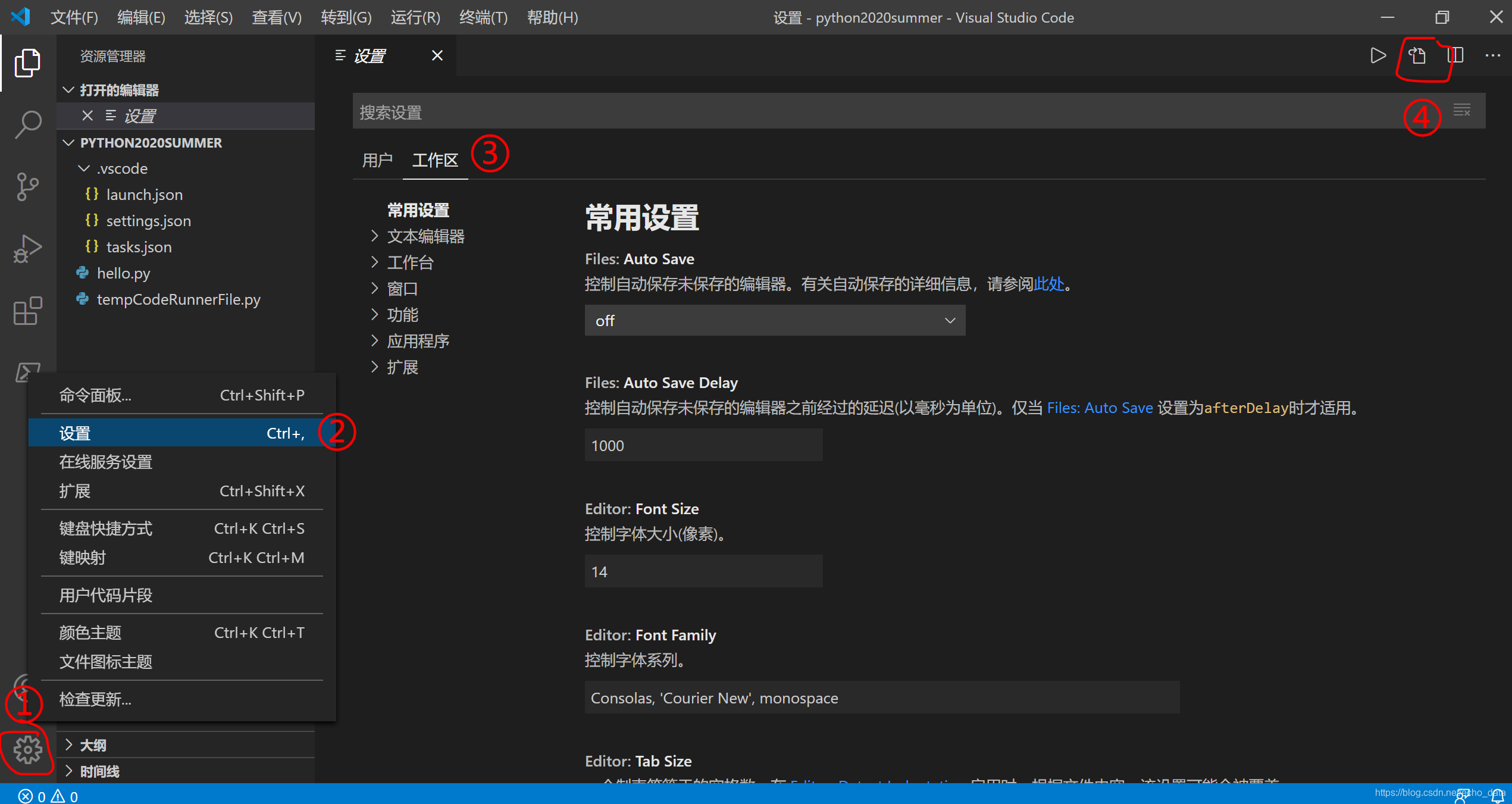 配置settings.json文件