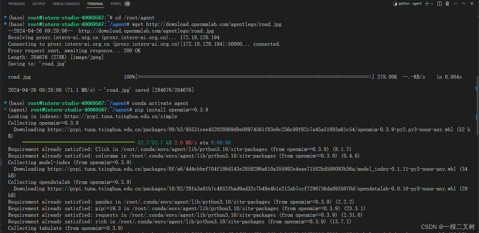 Lagent AgentLego 智能体应用搭建-作业六_自己搭建智能体demo-CSDN博客